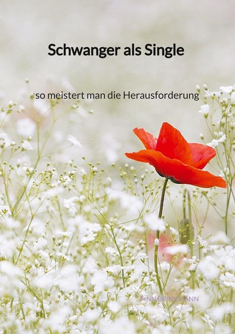 Finn Brinkmann: Schwanger als Single - so meistert man die Herausforderung, Buch