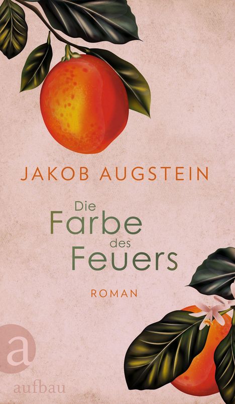 Jakob Augstein: Die Farbe des Feuers, Buch