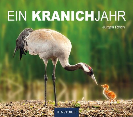 „EIN KRANICHJAHR“ und „Jürgen Reich“ in Weiß. Ein Kranich beugt sich zu einem flauschigen Küken. Hinstorff-Logo unten.