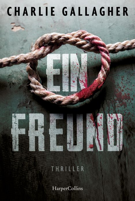 Charlie Gallagher: Ein Freund, Buch