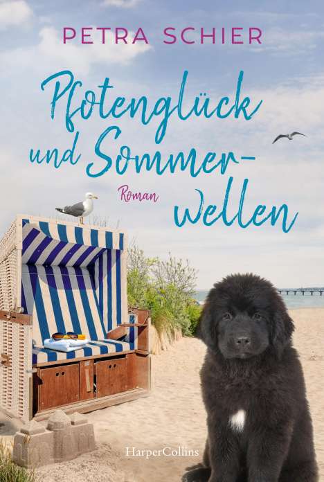 Petra Schier: Pfotenglück und Sommerwellen, Buch