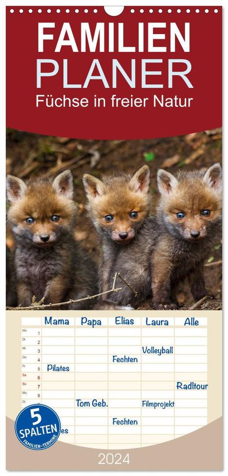 Ulrich Hopp: Familienplaner 2024 - Füchse in freier Natur mit 5 Spalten (Wandkalender, 21 x 45 cm) CALVENDO, Kalender