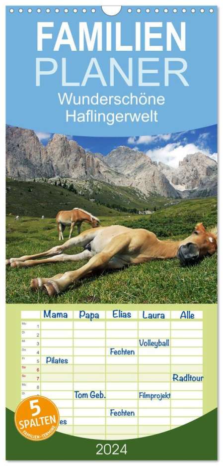 Michael Rucker: Familienplaner 2024 - Wunderschöne Haflingerwelt mit 5 Spalten (Wandkalender, 21 x 45 cm) CALVENDO, Kalender