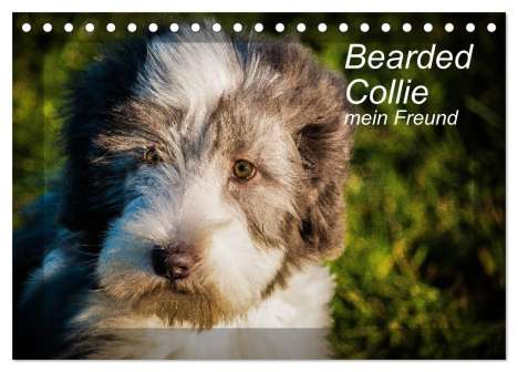Ula Redl: Bearded Collie, mein Freund (Tischkalender 2024 DIN A5 quer), CALVENDO Monatskalender, Kalender