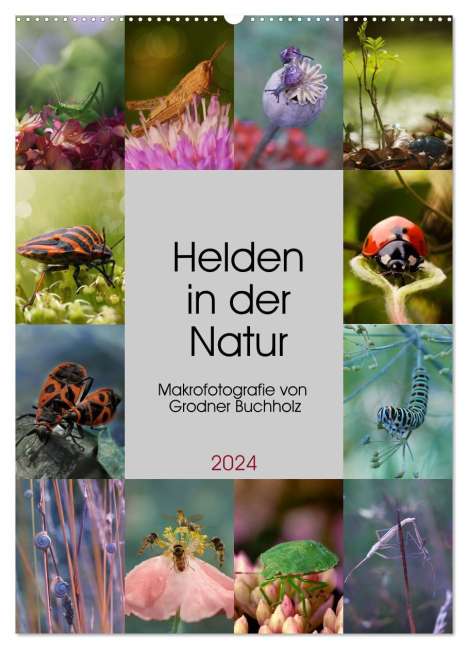 Joanna Grodner-Buchholz: Helden in der Natur (Wandkalender 2024 DIN A2 hoch), CALVENDO Monatskalender, Kalender