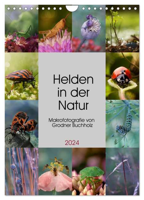 Joanna Grodner-Buchholz: Helden in der Natur (Wandkalender 2024 DIN A4 hoch), CALVENDO Monatskalender, Kalender