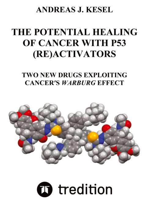 Andreas Johannes Kesel: The Potential Healing Of Cancer With P53 (Re)Activators, Buch