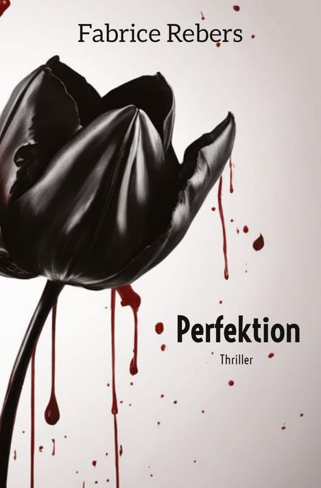 Fabrice Rebers: Perfektion, Buch