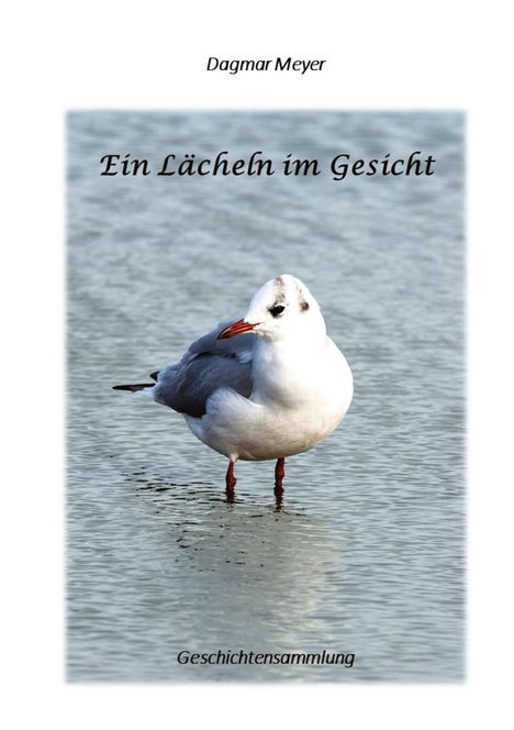 Dagmar Meyer: Ein Lächeln im Gesicht, Buch