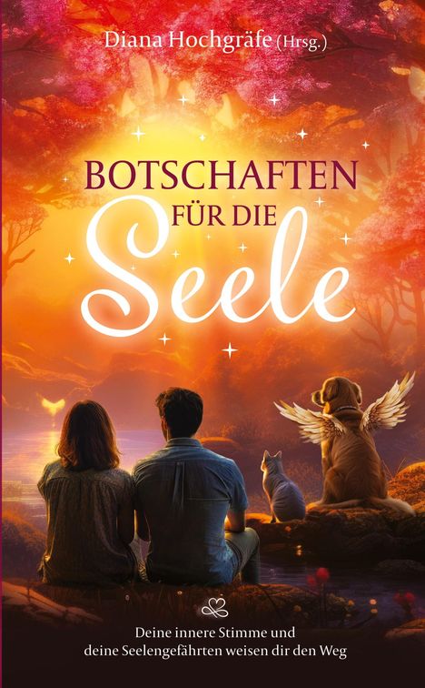 Dagmar Feeser: Botschaften für die Seele - Seelenbotschaften und Seelengeschichten, die dich inspirieren, dein Herz zu öffnen, deiner Intuition zu vertrauen und deinen Seelenplan zu leben, Buch