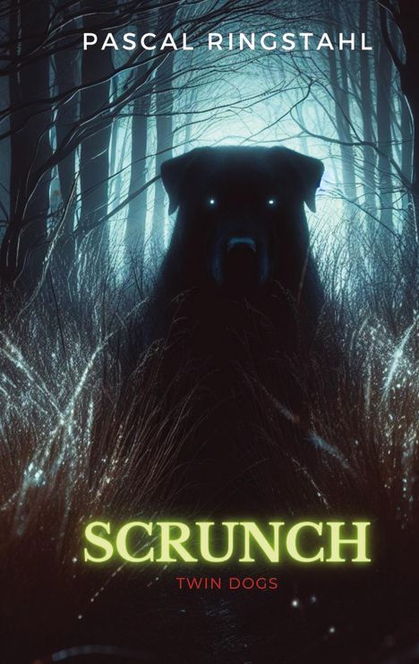 Pascal Ringstahl: Scrunch, Buch