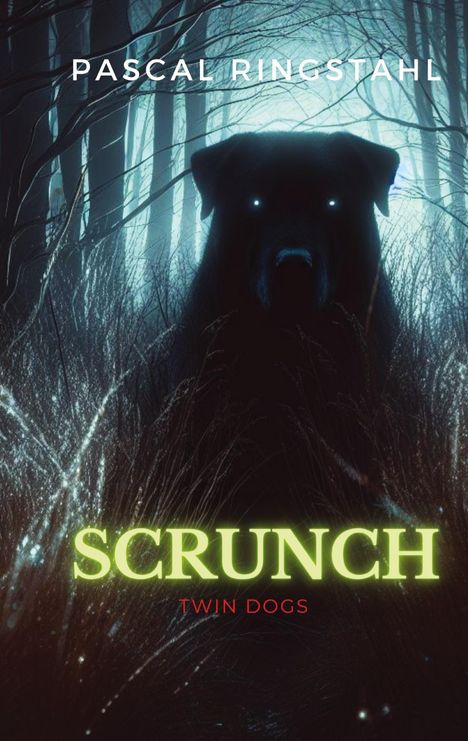 Pascal Ringstahl: Scrunch, Buch