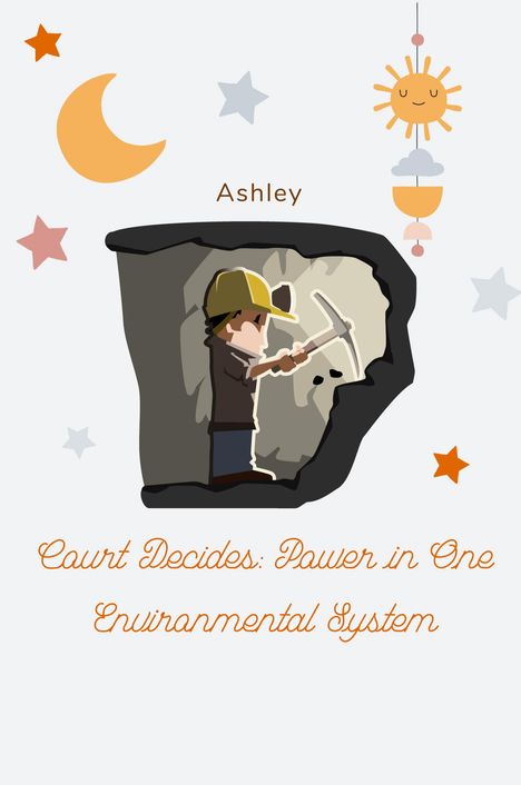 Ashley: Court Decides: Power in One Environmental System, Buch