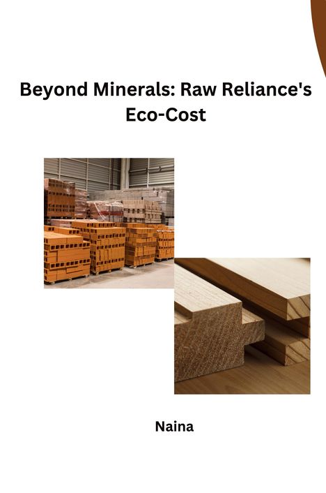 Naina: Beyond Minerals: Raw Reliance's Eco-Cost, Buch