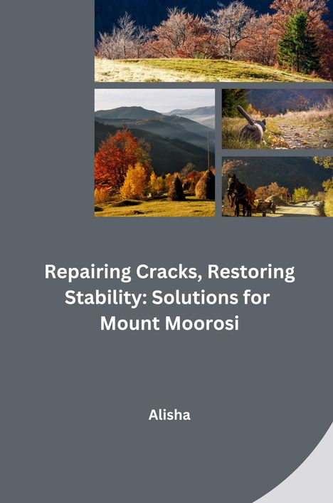 Alisha: Repairing Cracks, Restoring Stability: Solutions for Mount Moorosi, Buch