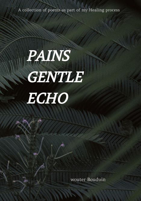 Wouter Bouduin: Pains gentle echo, Buch