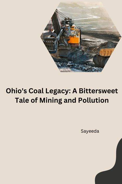 Sayeeda: : Acid Mine Drainage: A Threat Posed by Ohio's Historic Coal Mining, Buch