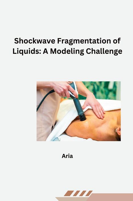 Aria: Shockwave Fragmentation of Liquids: A Modeling Challenge, Buch