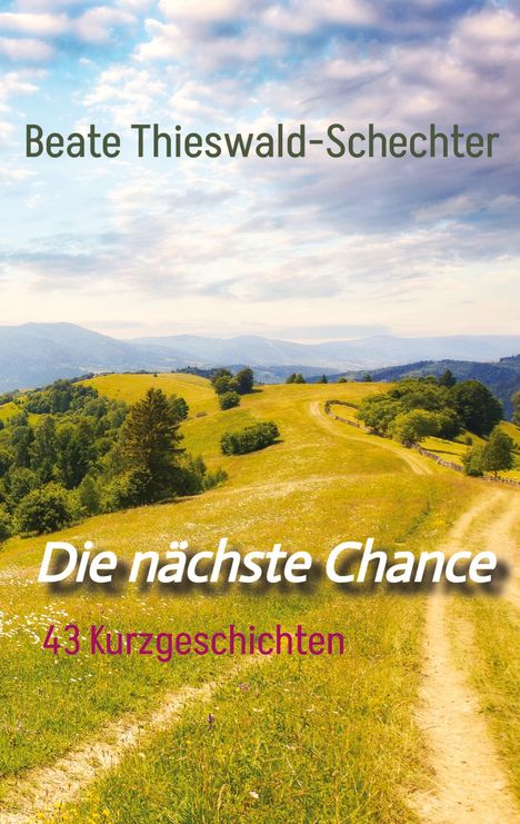 Beate Thieswald-Schechter: Die nächste Chance, Buch