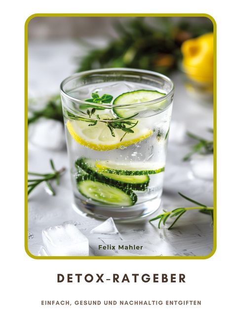 Felix Mahler: Detox-Ratgeber, Buch