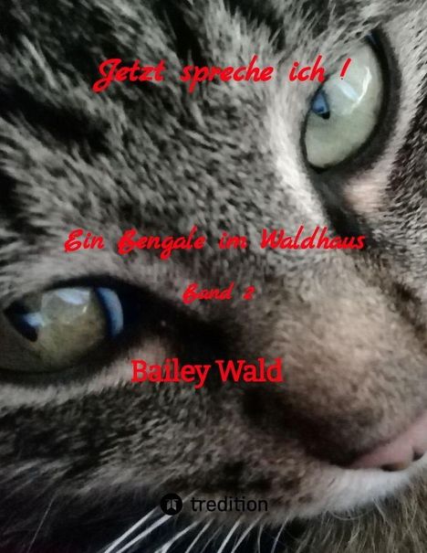 "Jetzt spreche ich! Ein Bengale im Waldhaus Band 2 Bailey Wald." Nahaufnahme eines Katzenkopfes, Fokus auf ein Auge.