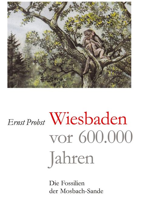 Ernst Probst: Wiesbaden vor 600.000 Jahren, Buch