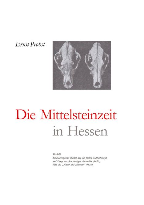 Ernst Probst: Hessen in der Mittelsteinzeit, Buch