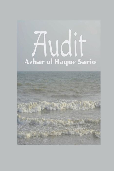 Azhar Ul Haque Sario: Audit, Buch