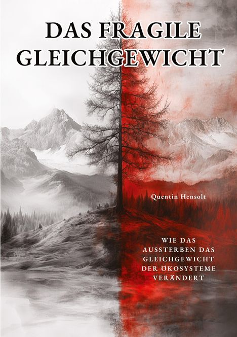 Quentin Hensolt: Das fragile Gleichgewicht, Buch