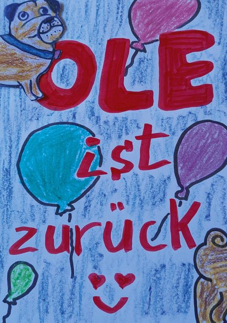 Michaela Daum: Ole ist zurück, Buch