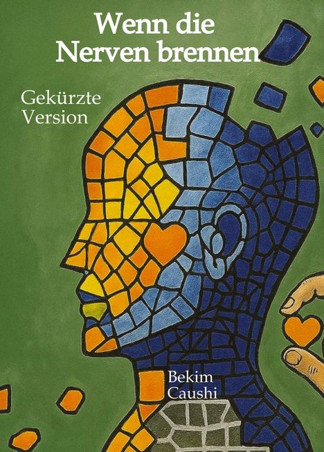 Bekim Caushi: Wenn die Nerven brennen, Buch