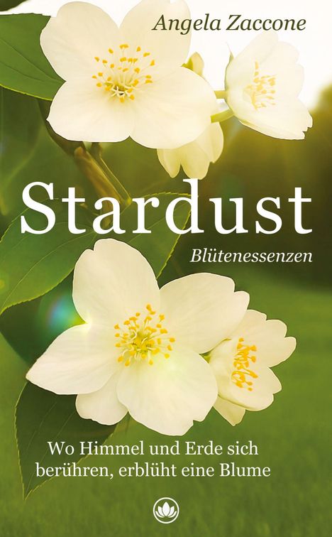 Angela Zaccone: Stardust, Buch