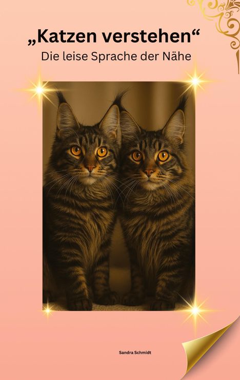 Sandra Schmidt: Katzen verstehen, Buch