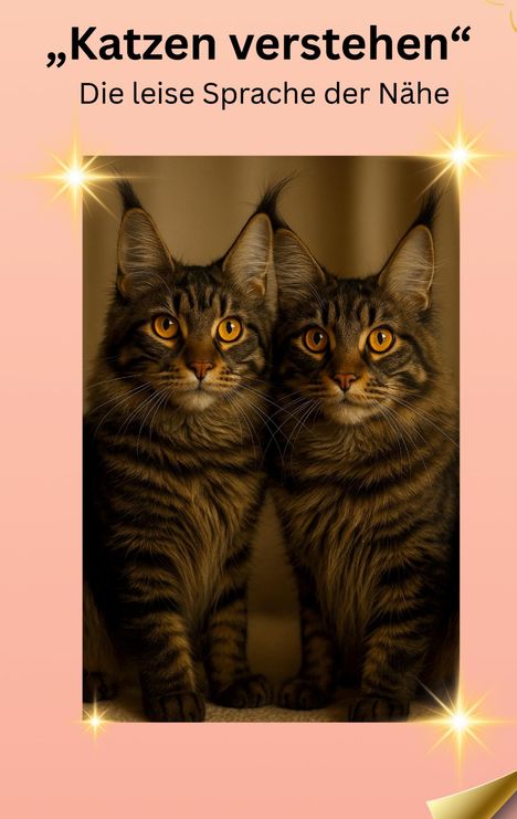 Sandra Schmidt: Katzen verstehen, Buch