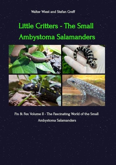 Text: "Little Critters - The Small Ambystoma Salamanders", Bilder von Salamandern auf Pflanzen, in Hand und im Wasser.