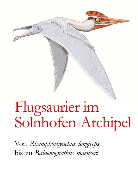"Flugsaurier im Solnhofen-Archipel. Von Rhamphorhynchus longiceps bis zu Balaenognathus maeuseri." Illustration eines Flugsauriers.