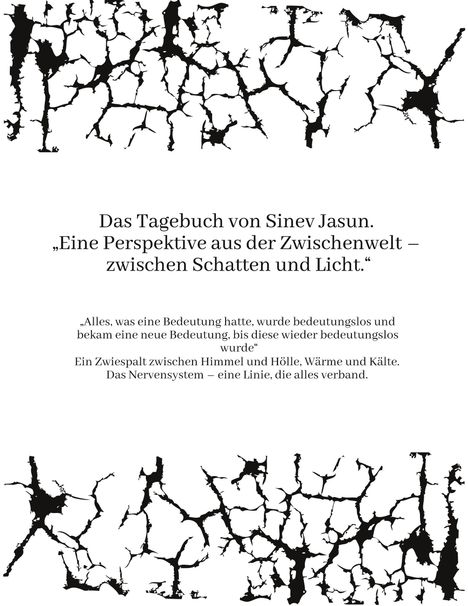 Oben und unten schwarze, rissige Formen. Text: „Das Tagebuch von Sinev Jasun. Perspektive aus der Zwischenwelt."
