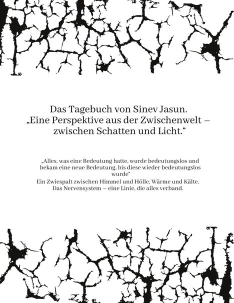 Text: "Das Tagebuch von Sinev Jasun. Eine Perspektive aus der Zwischenwelt – zwischen Schatten und Licht." Risse auf weißem Hintergrund.