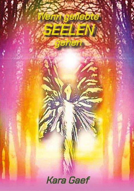 Text: "Wenn geliebte SEELEN gehen" und "Kara Gaef". 

Illustration: Engelartige Figur vor buntem, lichtdurchflutetem Wald.