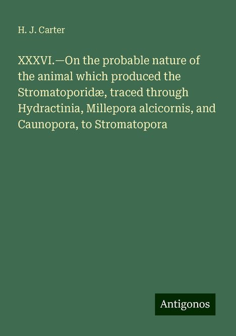 H. J. Carter: XXXVI.¿On the probable nature of the animal which produced the Stromatoporidæ, traced through Hydractinia, Millepora alcicornis, and Caunopora, to Stromatopora, Buch