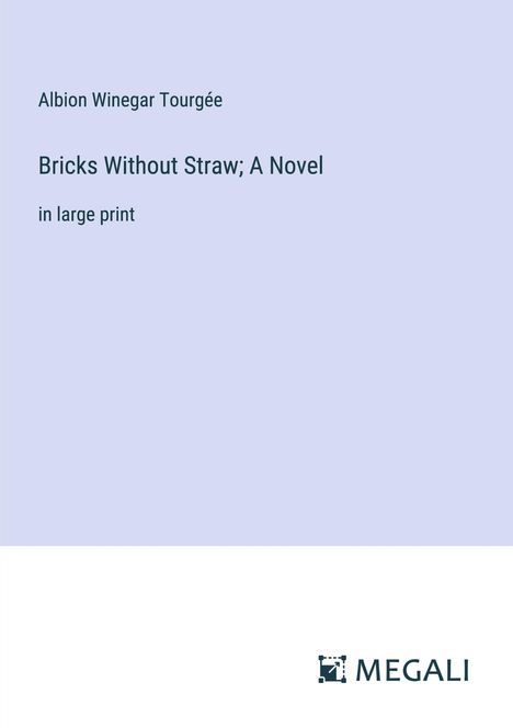 Albion Winegar Tourgée: Bricks Without Straw; A Novel, Buch