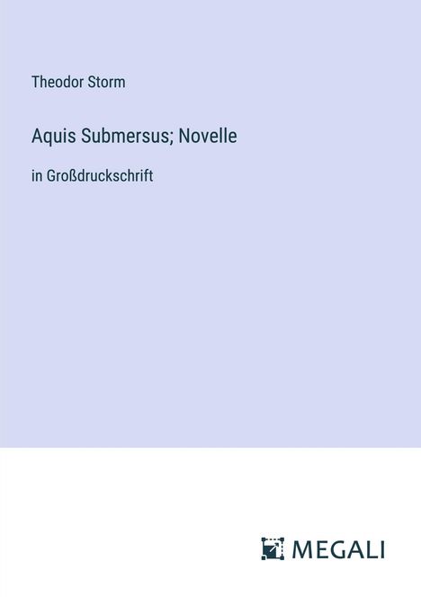 Theodor Storm: Aquis Submersus; Novelle, Buch