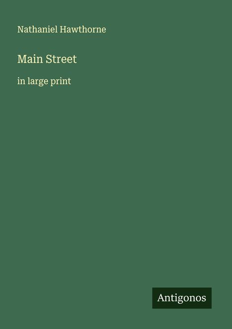 Nathaniel Hawthorne: Main Street, Buch