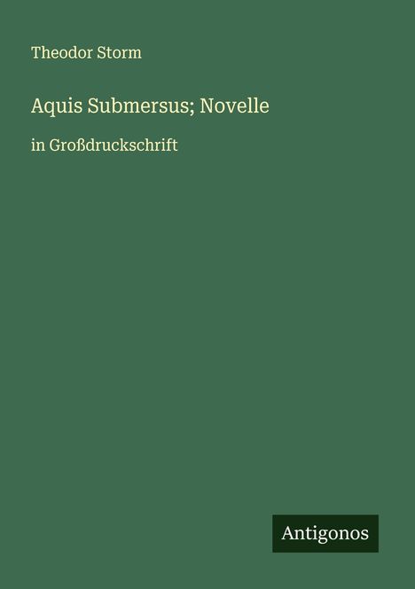 Theodor Storm: Aquis Submersus; Novelle, Buch