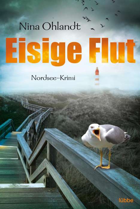 Nina Ohlandt: Eisige Flut, Buch