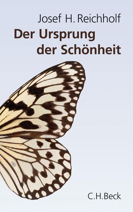 Josef H. Reichholf: Reichholf, J: Ursprung der Schönheit, Buch