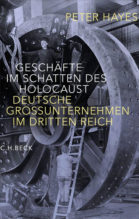 Peter Hayes: Geschäfte im Schatten des Holocaust, Buch