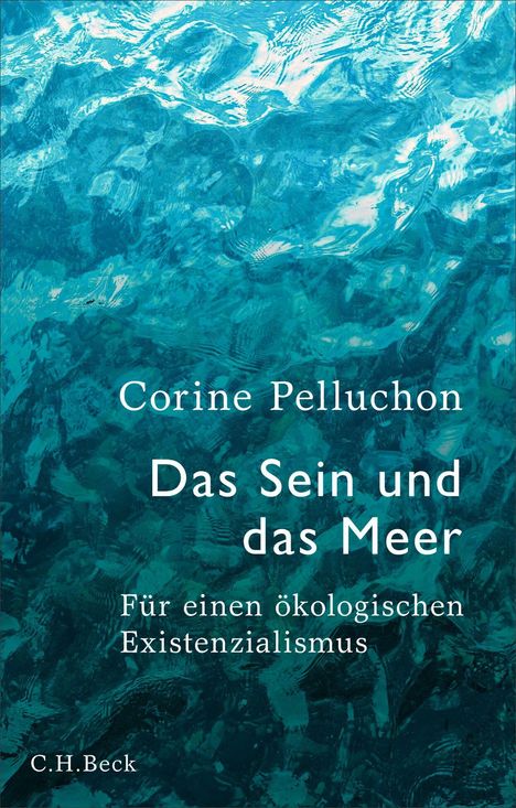 Corine Pelluchon: Das Sein und das Meer. Für einen ökologischen Existenzialismus. C.H.Beck.  Hintergrund: Wasseroberfläche.
