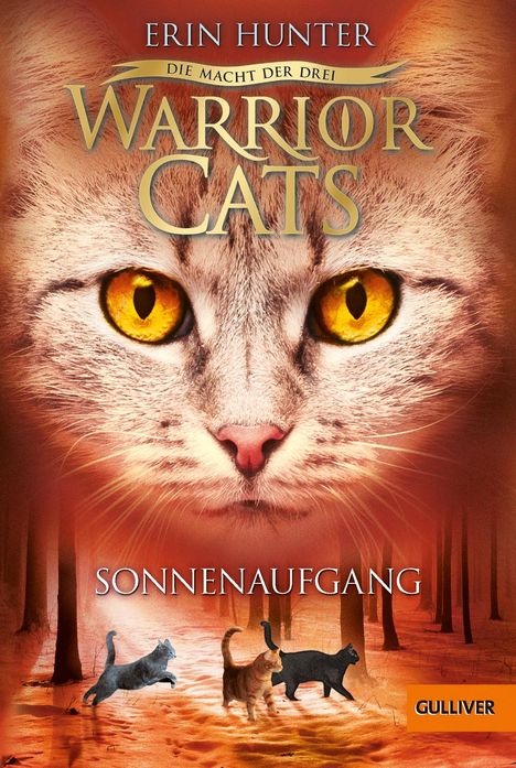 Erin Hunter: Warrior Cats Staffel 3/06. Die Macht der drei. Sonnenaufgang, Buch