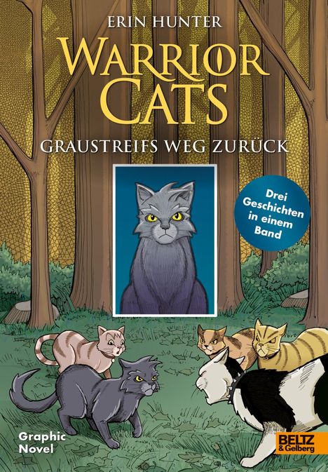 Erin Hunter: Warrior Cats - Graustreifs Weg zurück, Buch